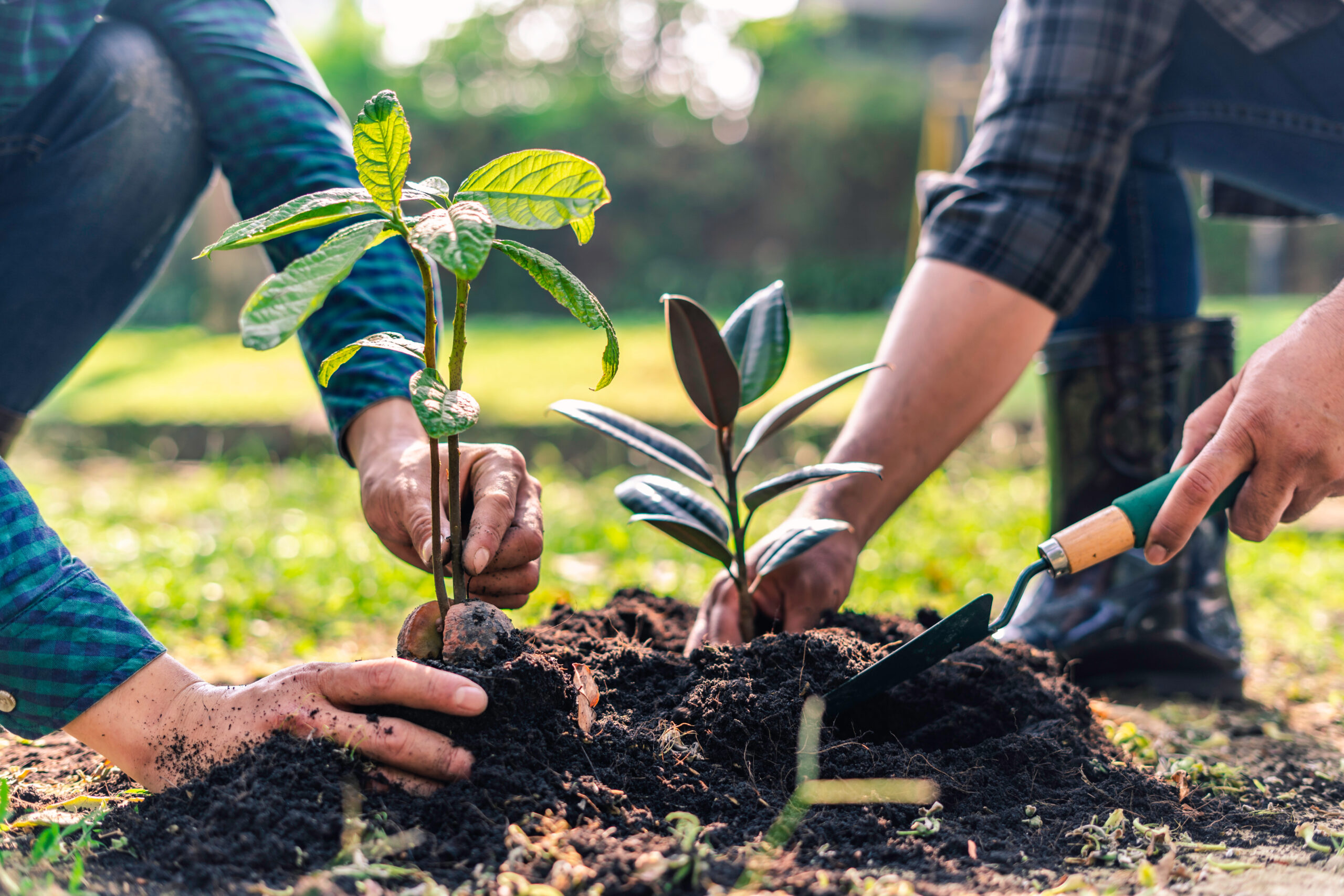 August 2025 Foundation Focus – Legacy in Action